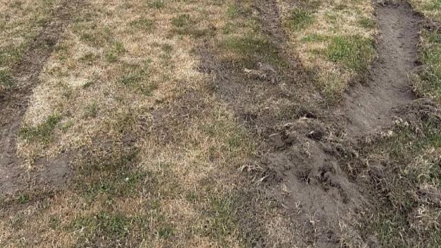 The Trafalgar Cricket Club team were left disappointed on Christmas Day after a driver left tire marks on the oval causing damage to the surface. Picture: Facebook/Trafalgar Cricket Club