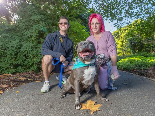 RSPCA SA's Million Paws Walk in Adelaide on May 25, 2025. Picture: Ben Clark