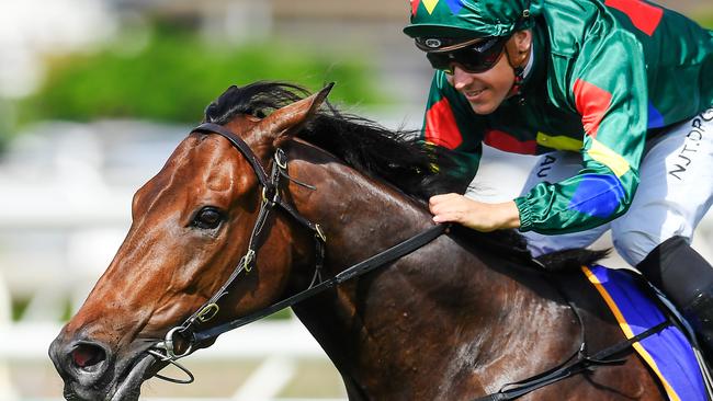 Jockey Ryan Maloney rides Alligator Blood. (AAP Image/Albert Perez)