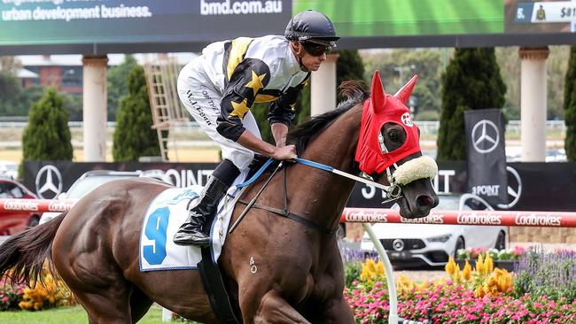 Roll On High can bounce back on a bigger track in the Bendigo Guineas. Picture: George Sal/Racing Photos via Getty Images