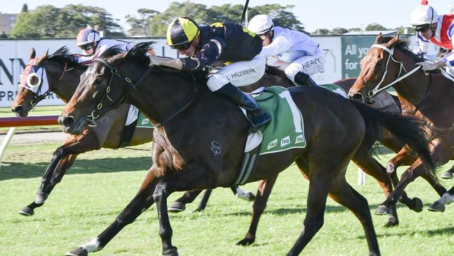 Race 5 - Newcastle, 19/08/2023, Winner- Mountain Guest Picture: Bradley Photos