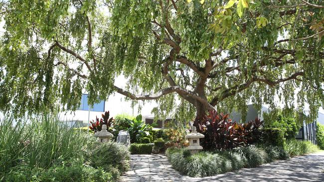 The shady and cool Japanese Memorial garden on Grafton St has been touted as a perfect example of quality urban planning. Picture: Brendan Radke