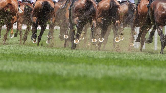 Institution has been enjoying success in Far North Queensland.