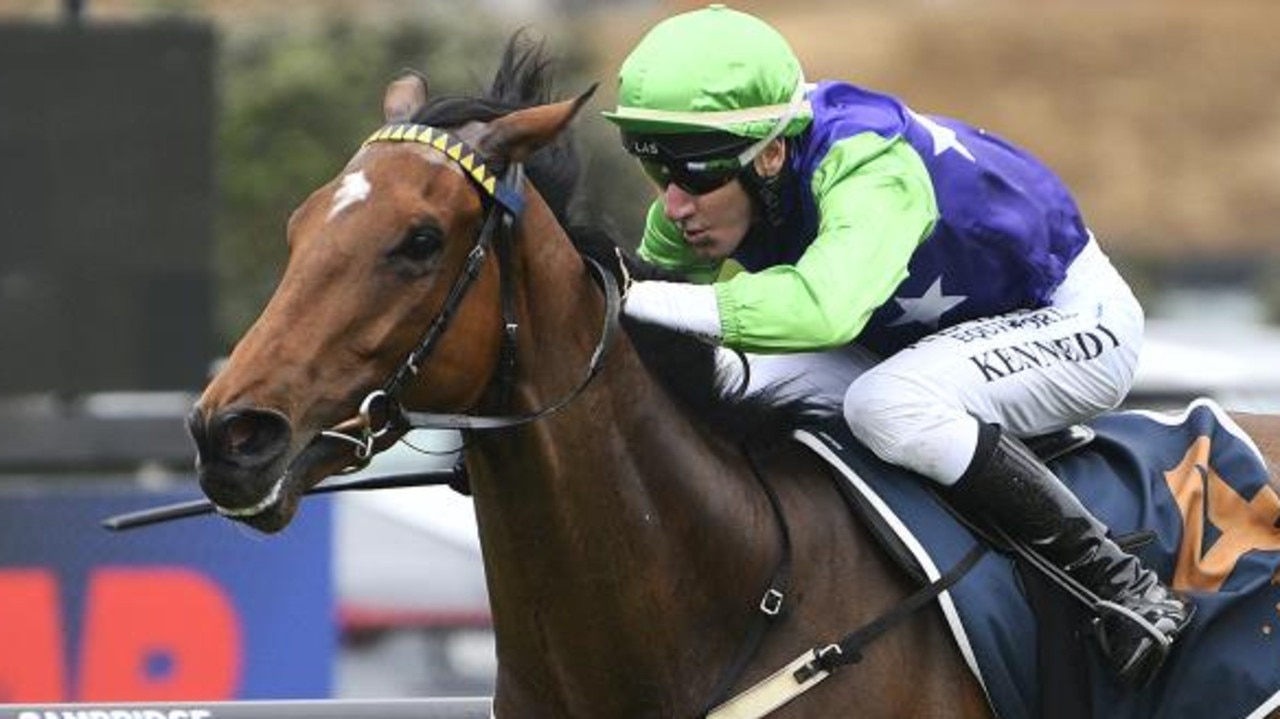 Kiwi raider in Rosehill Guineas a mystery … even to his trainers