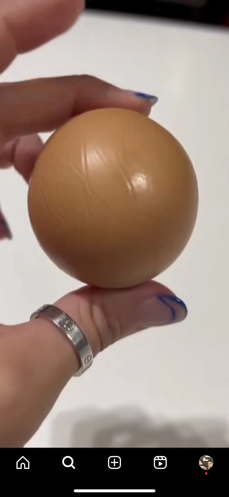 Some were shocked by the size of the round egg. Picture: Instagram