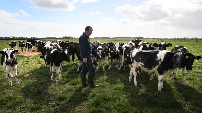 Dairy farmer Nick Renyard from Timboon, near Port Campbell in Western Victoria in 2016.