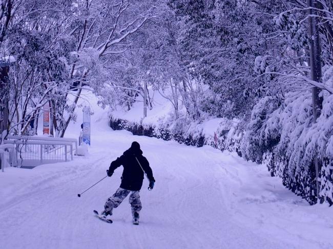 The Alps are a winter wonderland with more a wintry blast that brought snow down to 500m in Victoria today. Skiers enjoys the snow laden streets at Falls Creek today. Falls Creek has been blanketed with more than 50cm this week. 30cm+ in the last 24hrs. Anthony O'Shea of Falls Creek Ski Lifts said: 'People talk about 2014 as one of the best season opening storms ever, but this one is right up there. Weâ€™ve received more than half-a-metre of snow in a couple of days, and itâ€™s substantial, base-building snow that will see us through the season. And on top of that, today weâ€™re seeing superdry powder snow falling in very cold temperatures. These are also great conditions in which to make snow, and the snowguns are firing all over the mountain. Weâ€™re opening more lifts and terrain tomorrow and Sunday, including some of our best intermediate runs, with even more to follow early next week. Weâ€™re running to keep up with all this snow, and thereâ€™s more to come through next week. The skiing and snowboarding for the first week of the school holidays is going to be brilliant.'