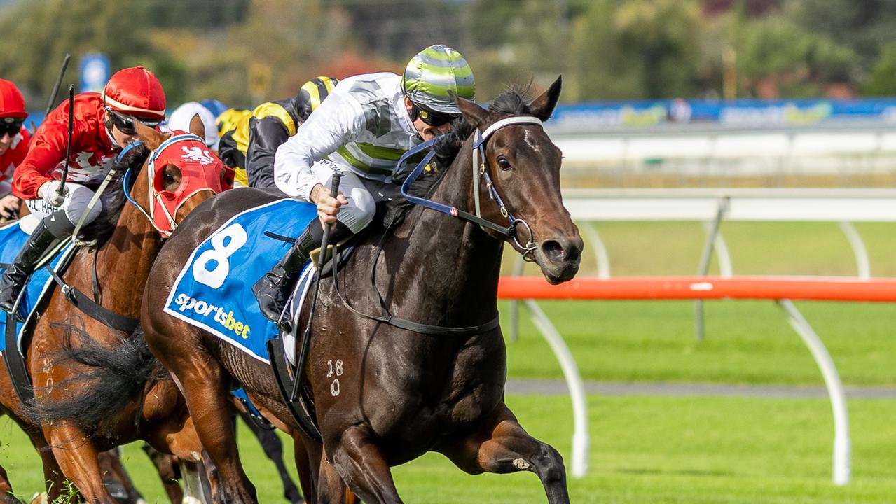 Caulfield Cup day tips: $4.20 best bet