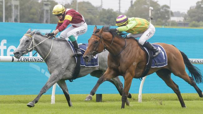 Achira (left) is coming off a nice win in a Midway on heavy ground at Rosehill. Picture: Getty Images