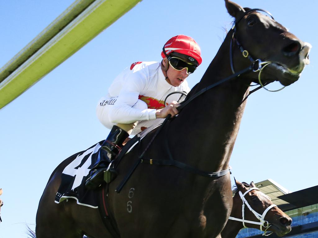 Yao Dash (Golden Rose) is the cheapie of the round. Picture: Mark Evans/Getty Images