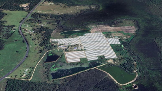 Green Leaf Farms greenhouses at Kempsey.