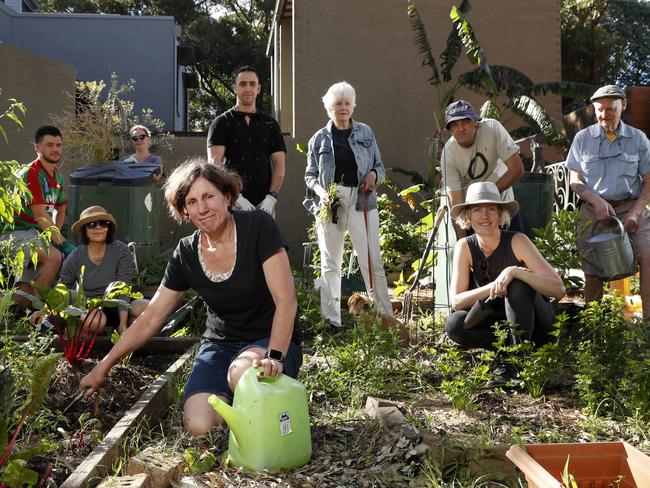 Erskineville locals want to keep their community garden. Picture: Jonathan Ng