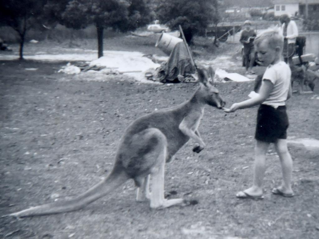 Neale Daniher gets up close and personal with a kangaroo.