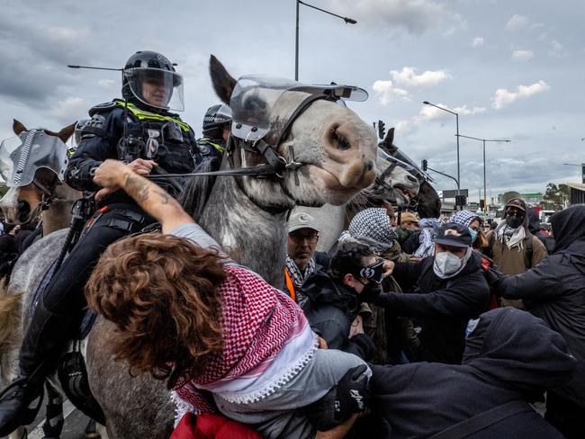 A police horse is forced to deal with the foul behaviour of a protester. Picture: Jake Nowakowski