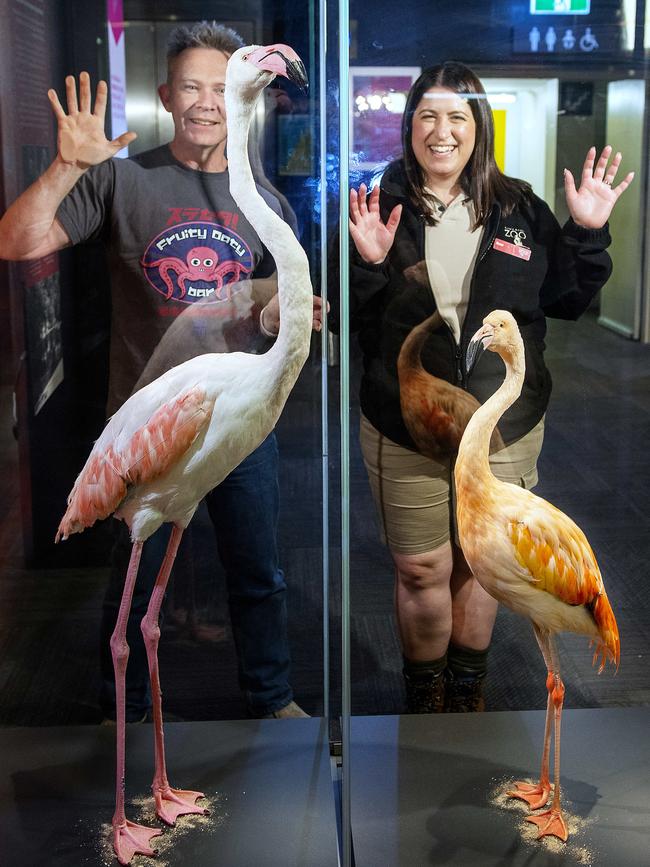 SA Museum 3D design specialist Jo Bain, with zookeeper Emma Crittle, who used to look after the flamingoes. Picture: Mark Brake