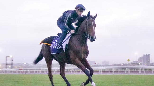 Forgotten stayer Loft is almost ready to return to racing after a long lay-off after trialling at Geelong on Tuesday. Picture: Racing Photos via Getty Images