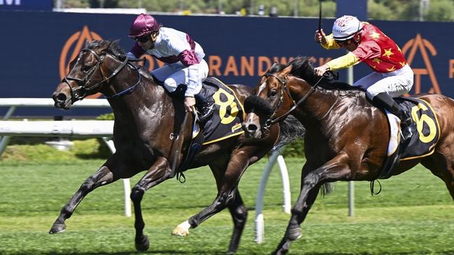 Amazing Eagle could be saved for next week's Listed Gosford Guineas. Picture: Bradley Photos