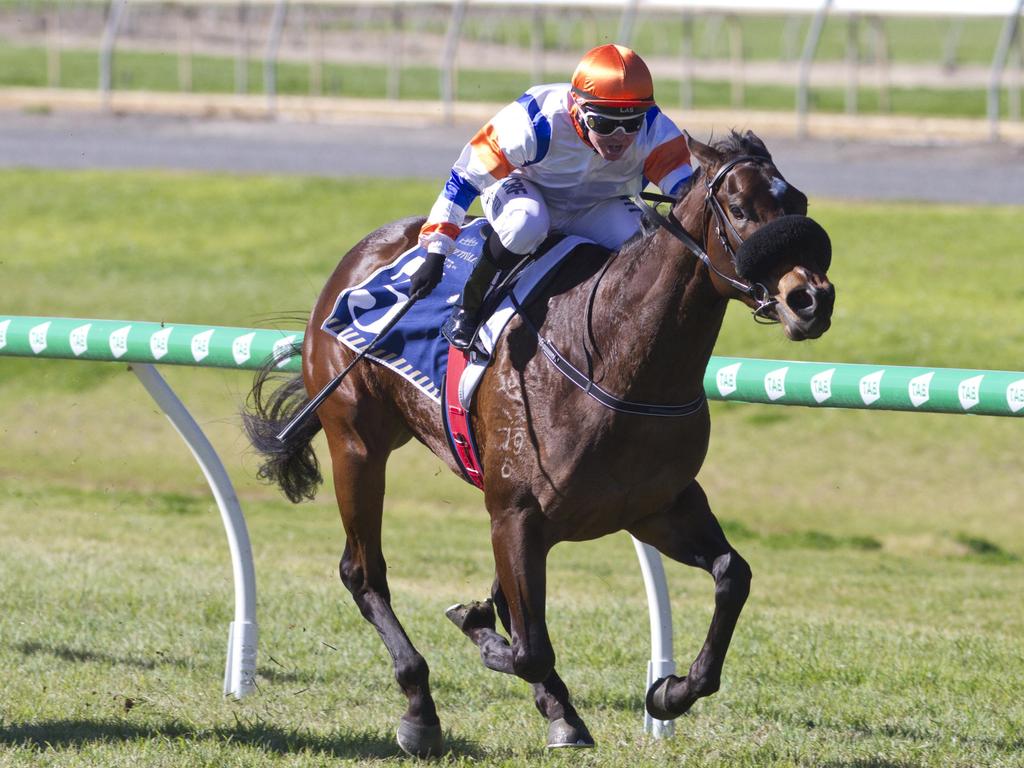 Tony McEvoy has group 1 aspirations for Westport The Advertiser