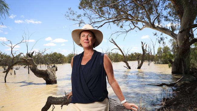 NSW Water and Housing Minister Melinda Pavey. Picture: Richard Dobson