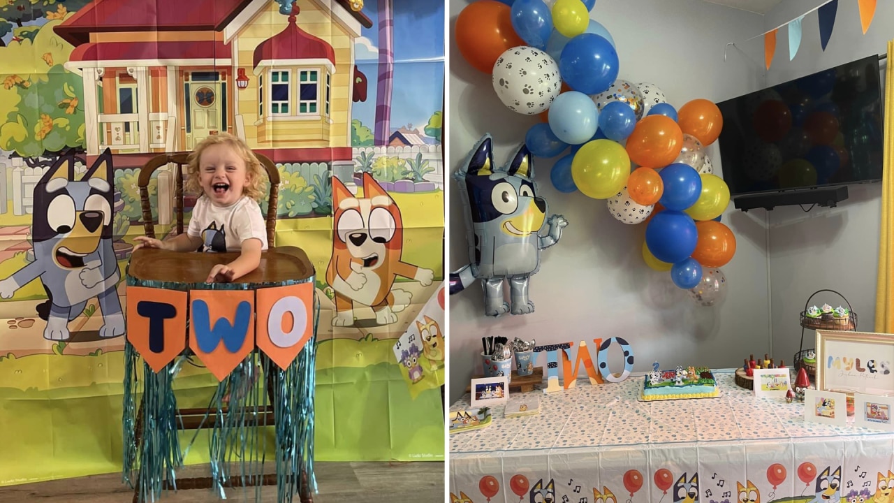 I threw my son an epic Bluey-themed birthday party but no kids