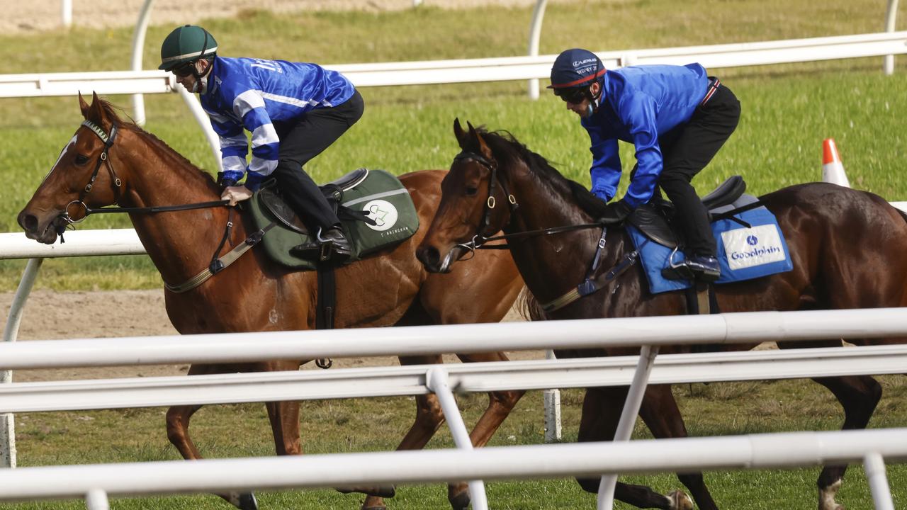 Randwick Barrier Trials