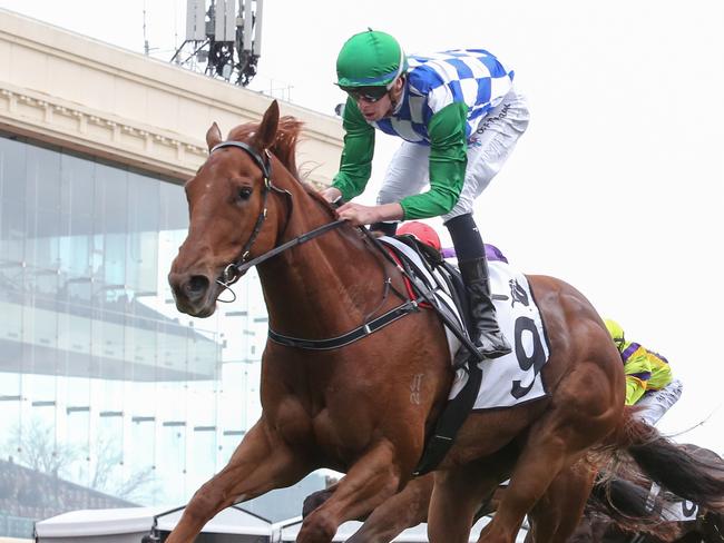 Sheva will attempt to pull off an upset win in Saturday's Group 3 Sir John Monash Stakes at Caulfield. Picture: Racing Photos.