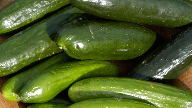 A cucumber farmer was fined $15,000 over woodchips used in a boiler.