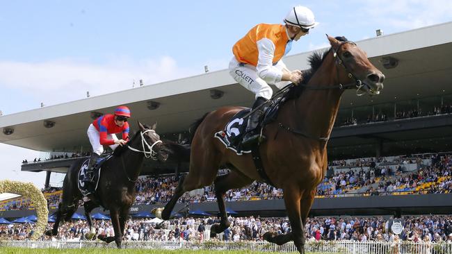 Verry Elleegant (right) can bounce back from her shock loss to Montefilia in the Ranvet Stakes last start. Picture: Getty Images