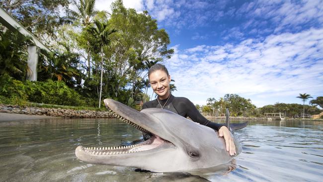 Marine mammal trainer Brooke Pelizzari bonding with dolphin Scooter at Sea World. Picture: NIGEL HALLETT