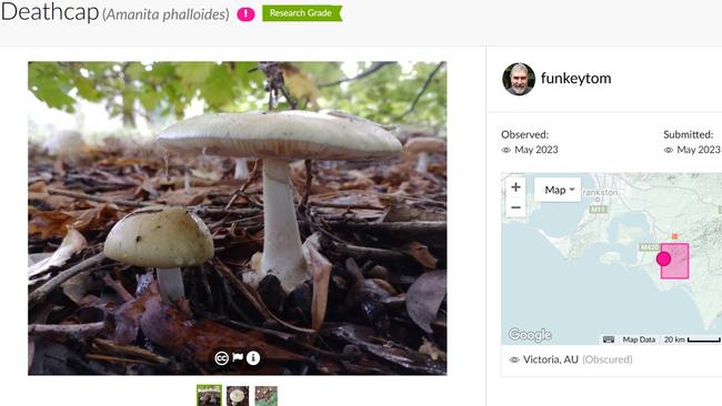 Dr Tom May’s post on iNaturalist.