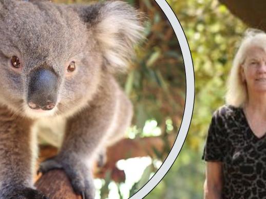 Koala park could threaten jobs