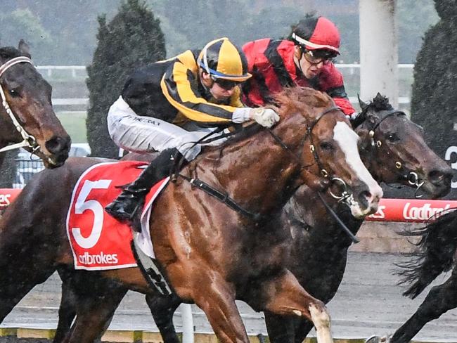 Sweet Ride ridden by Michael Dee wins the SteveOs Scamper Handicap at Moonee Valley Racecourse on August 12, 2023 in Moonee Ponds, Australia. (Photo by Brett Holburt/Racing Photos via Getty Images)