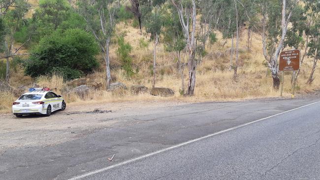 A police car on the side of Gorge Road, Millbrook, where the cat was found. Picture: SA RSPCA