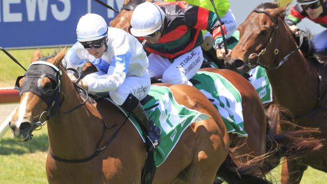 King's Trust will enjoy getting back to a drier track. Picture: Getty Images