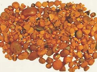 A Queensland man has been charged for allegedly stealing cattle gallstones from an abattoir.