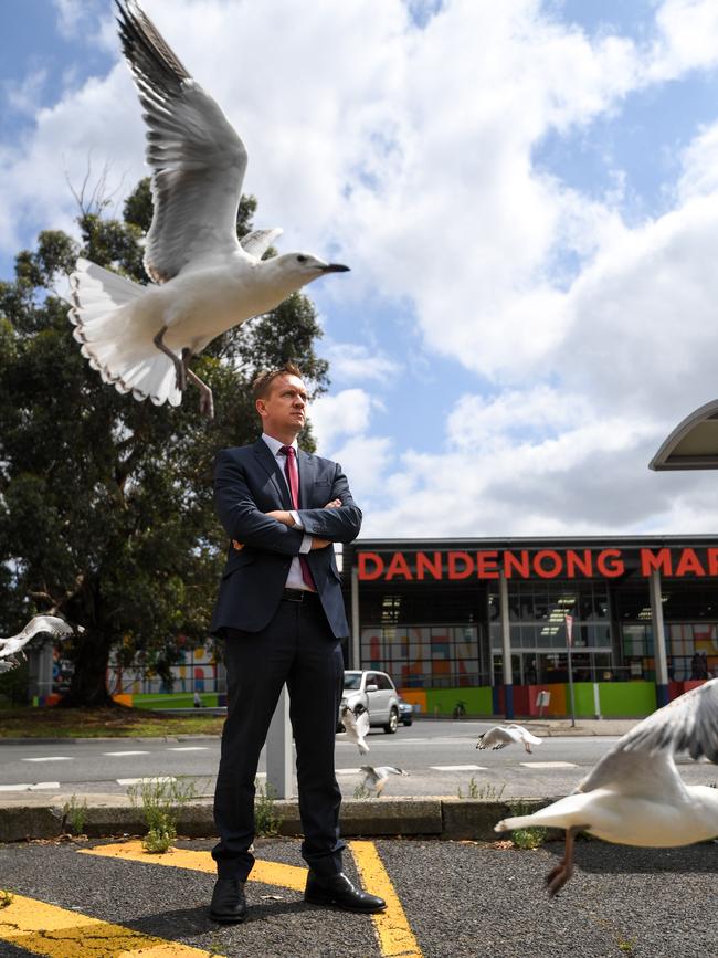 Federal Labor MP for Bruce Julian Hill with seagulls outside the Dandenong Market. Picture: Penny Stephens