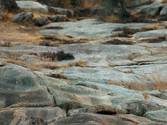 Picture: Caters ONLINE USE ONLY PIC BY SUDHIR SHIVARAM/ CATERS NEWS - (PICTURED: Can you spot the leopard) - Somewhere in this incredible photo is a leopard - but many are struggling to spot it. The predator is perfectly camouflaged as it has a lie down on the rocks in Rajasthan, India. Sudhir Shivaram spotted the cunning animal when he was exploring in the small town of Bera - and has enjoyed teasing pals who dont even believe theres a leopard in the pic. Sudhir, 43, was hoping to see the big cat when he visited the area, as its known for being a popular habitat for them. SEE CATERS COPY.