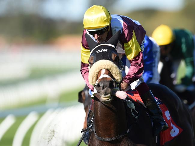 Jockey Hugh Bowman keeps Index Linked well wide of the inside fence as they combine to win the Tattersal's Cup Handicap. Picture: AAP