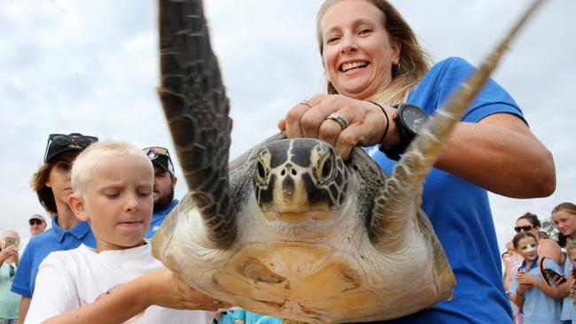 Preparing to release Whistler, the rescued sea turtle back into the ocean at Kingscliff Beach this week were Joey and Jen Slape in front of a huge group of 'well wishers'. Photo: WENDY POWICK