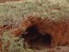 Juukan Gorge inquiry delay ‘distressing’