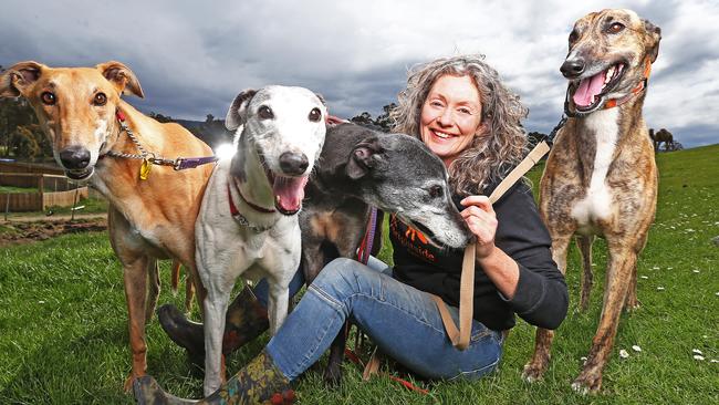 Emma Haswell from Brightside Farm Sanctuary with rescue greyhounds Benji, 5, Sweetie, 10, Paddi, 9 and Denny, 3. Picture: Zak Simmonds