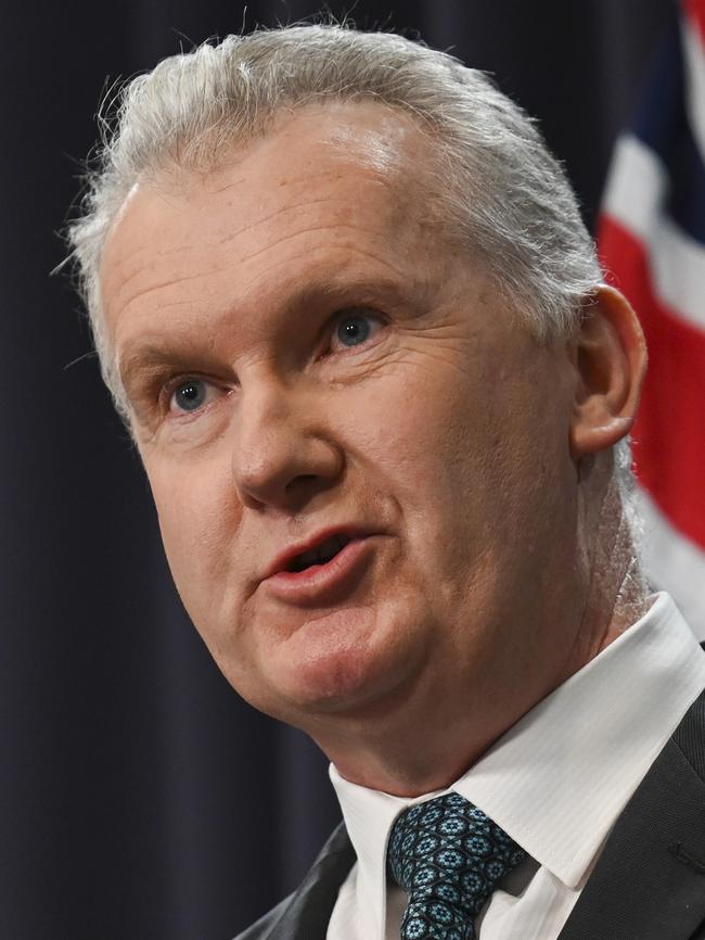 Workplace Relations Minister Tony Burke. Picture: NewsWire/Martin Ollman