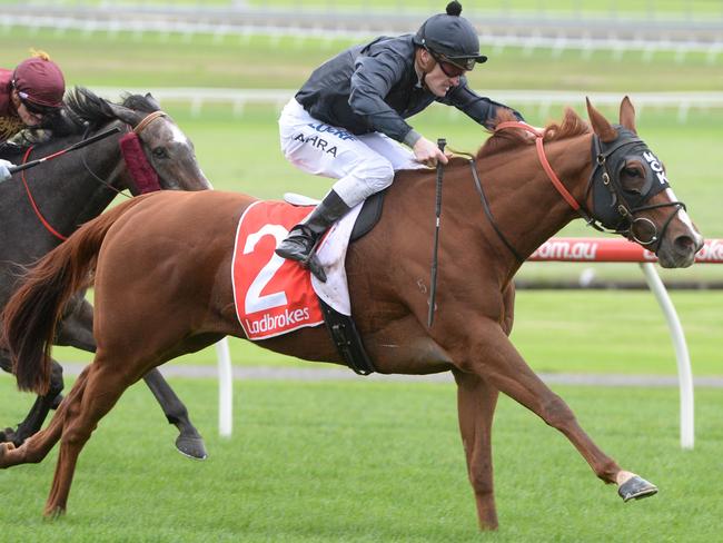 Holy Cow has a featherweight and looks a good chance from the in-form Michael Kent stable. Picture: Racing Photos