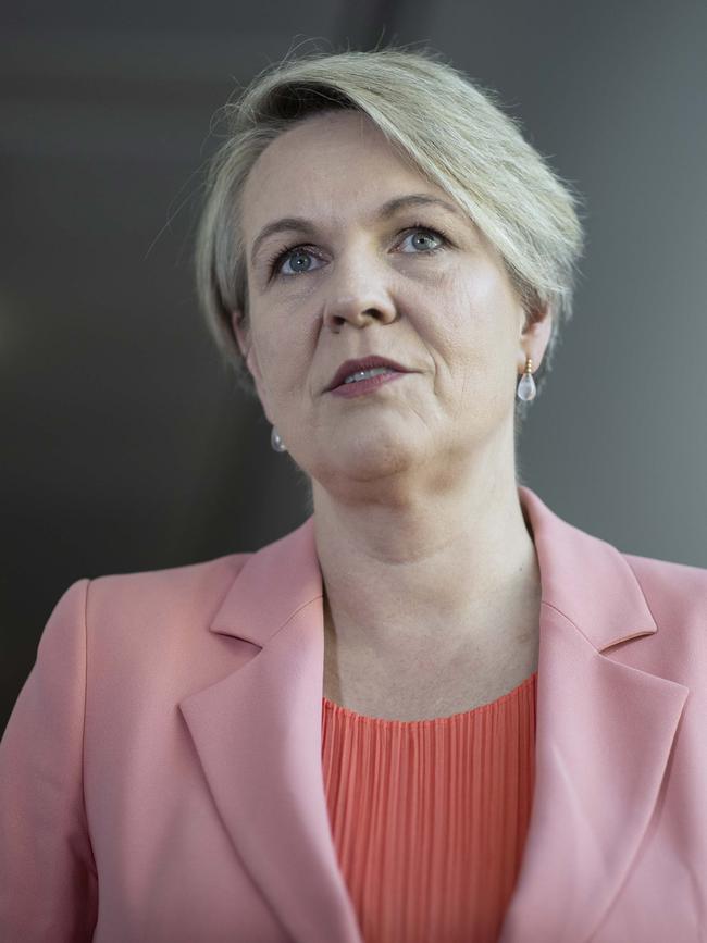 Minister for the Environment and Water Tanya Plibersek will help launch the report on Wednesday. Picture: Gary Ramage