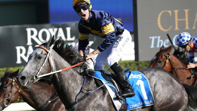 The world’s highest-rated sprinter Chautauqua heads the field for The Everest.