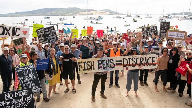 Anti-salmon farm protesters against industrial feedlots in Tasmania's D'Entrecasteaux channel. Picture: Amy Brown