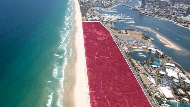 Gold Coast "hidden gems" parks - this is Federation Walk, the red area showing the size of The Spit park.