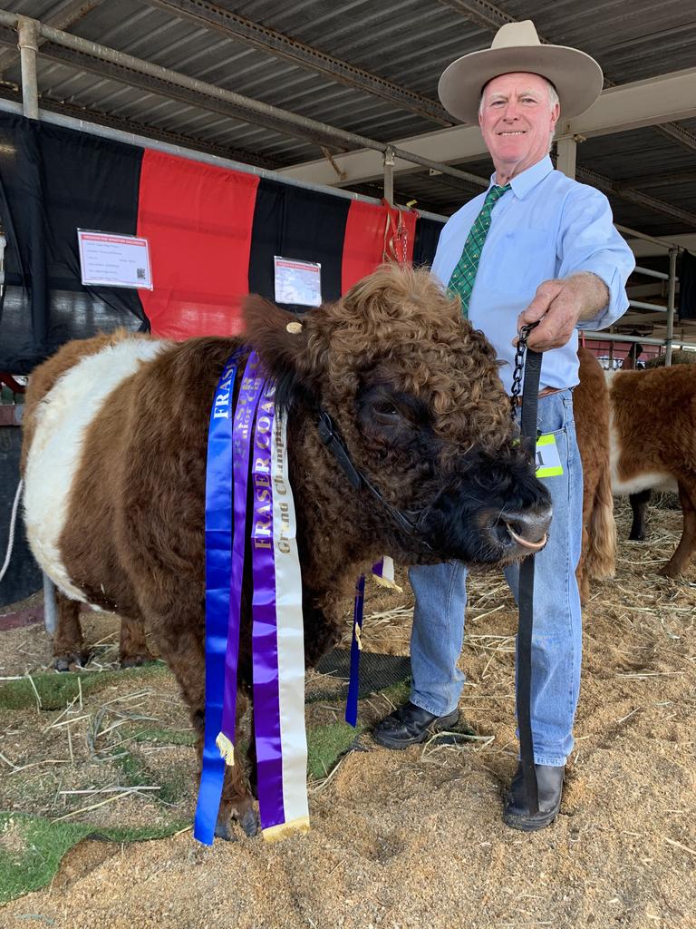 Raymond Cross from Freedom Rise Galloway Stud farm with award winning Scottish belted Galloway cow Picasso. Photo: Stuart Fast