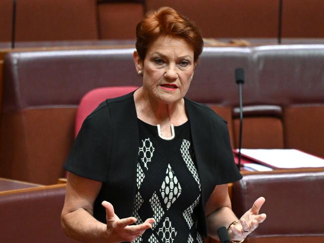 One Nation party leader Pauline Hanson speaks to a private members bill on migration levels in the Senate chamber at Parliament House in Canberra, Thursday, March 21, 2024. Picture: AAP Image