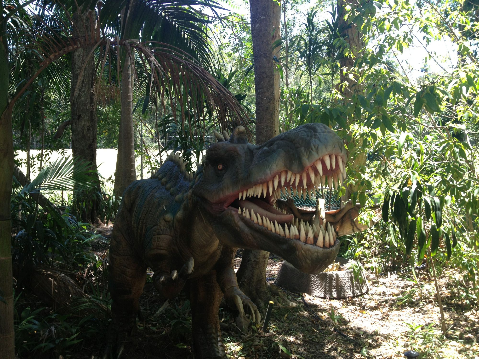 Shots from the opening day of the Palmersaurus. Picture: Patrick Williams